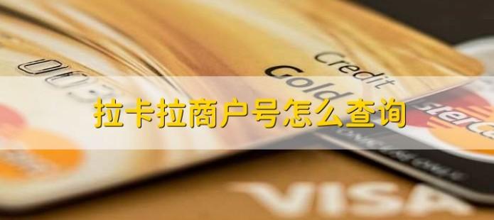 如何查詢拉卡拉商戶號
